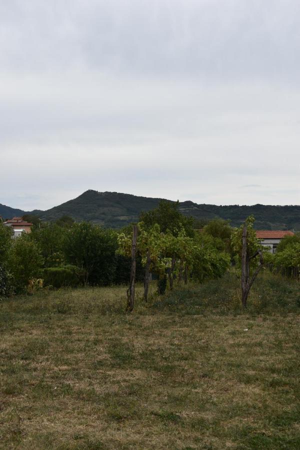 Small House In Vipava Valley Eksteriør billede